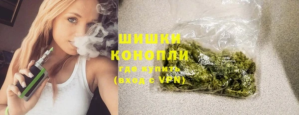 молекула духа Снежинск