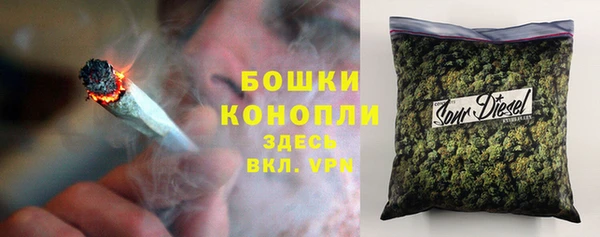 молекула духа Снежинск