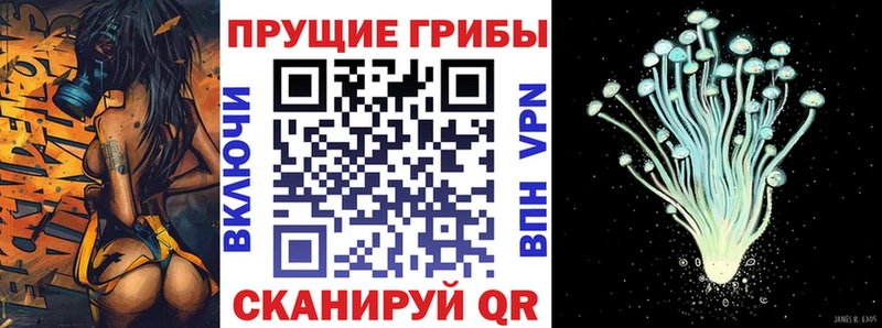 Галлюциногенные грибы прущие грибы  купить наркоту  Кимры 