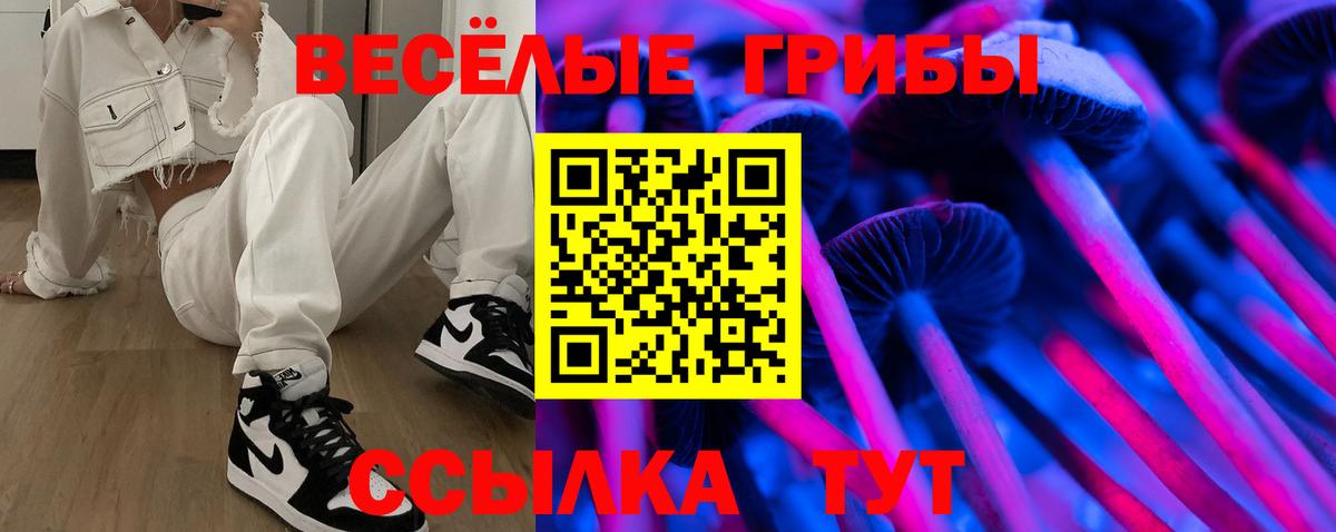 Псилоцибиновые грибы Cubensis Кимры