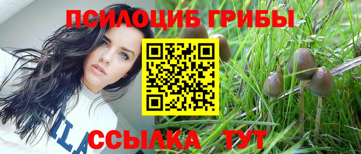 Галлюциногенные грибы Psilocybine cubensis  цены   Кимры  Вход с VPN 